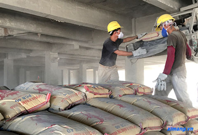 Tổng quan thị trường xi măng tháng 8